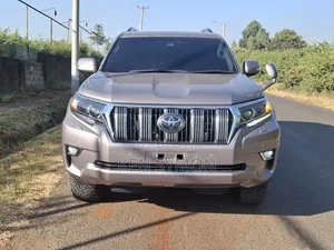 Toyota Land Cruiser Prado 2018 Gray