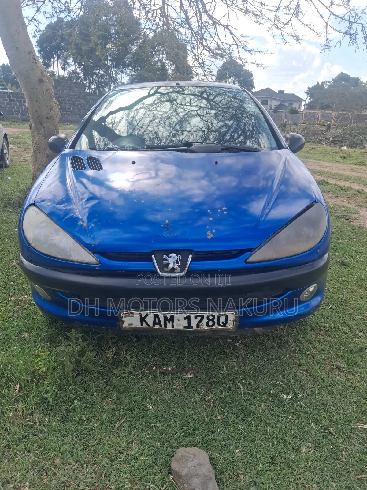 Peugeot 206 2009 Blue
