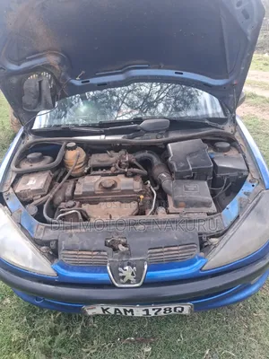 Peugeot 206 2009 Blue