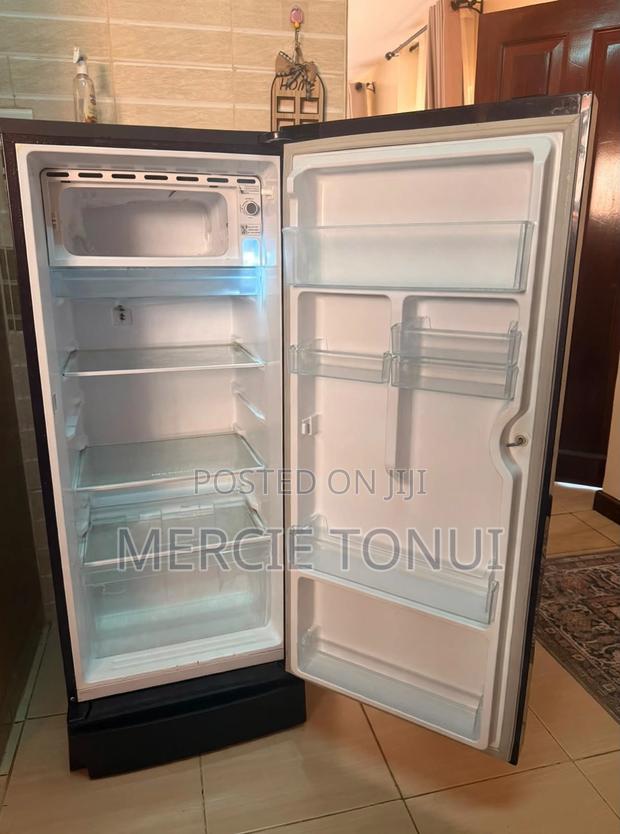 Haier Refrigerator - main view