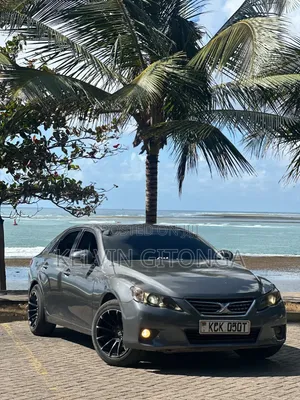 Toyota Mark X 2011 Gray