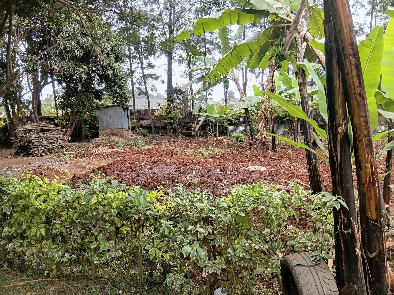 5bdrm Maisonette in Thome 5 1St, Roysambu for sale