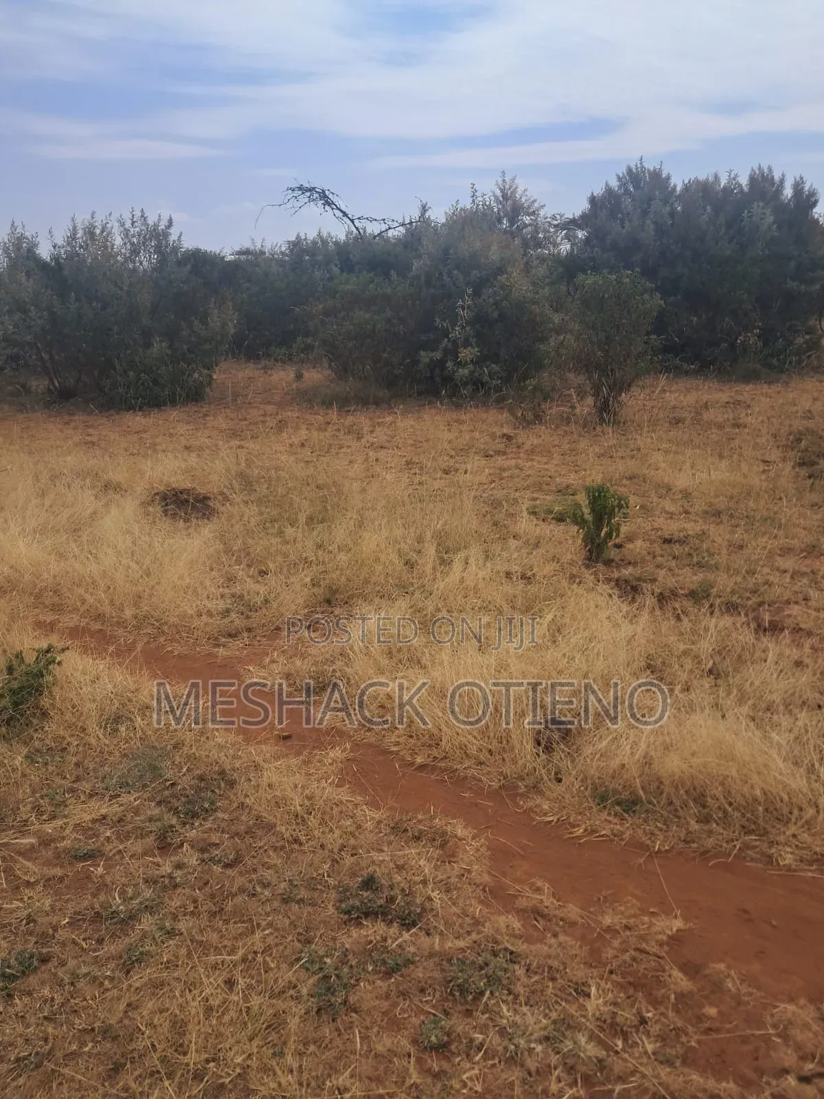 50 *100 Plot for Sale