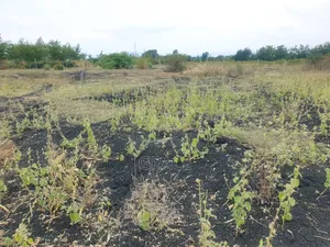 Makutano_Mwea Prime Plots