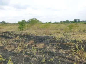Makutano_Mwea Prime Plots