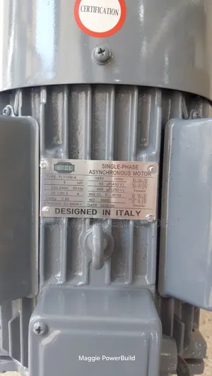 STCL Italy 5hp 1450rpm Single Phase Low Speed Motor