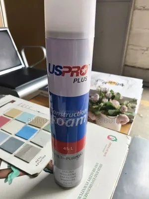 Dr Fix PU Foam ( Uspro Construction Foam)