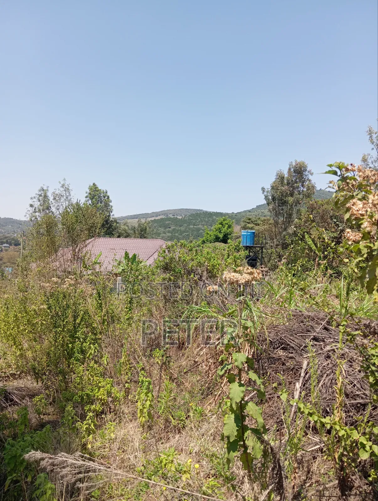 0.125 Acre of Land