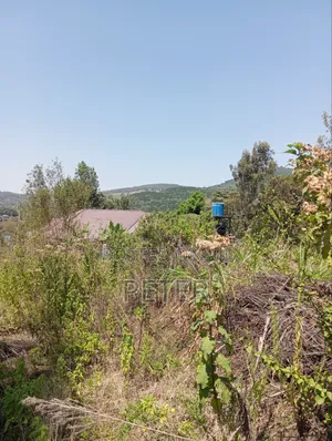 Land for Sell