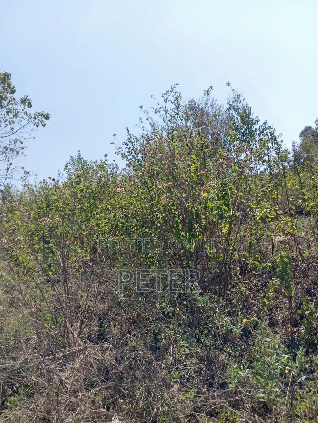 0.125 Acre of Land