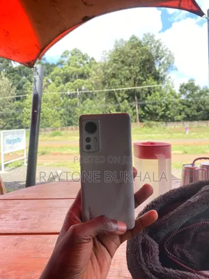 Xiaomi 12 128 GB