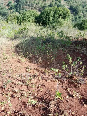 Muranga Kiharu 3 Acres Land at Per Acre