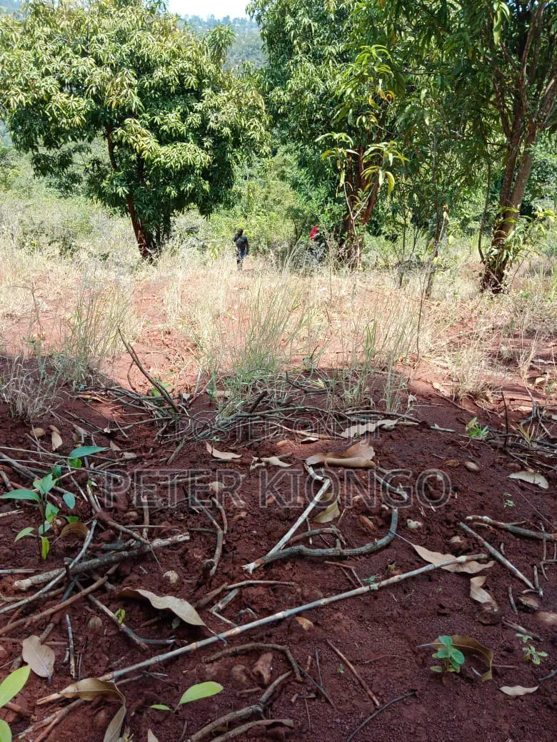 Muranga Kiharu 3 Acres Land at Per Acre