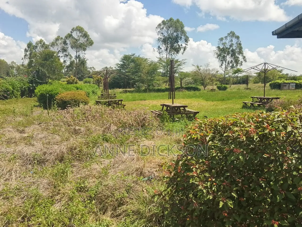 50*100 Plots for Sale in Kitengela Acacia Area for Ksh.1.45M