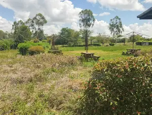 50*100 Plots for Sale in Kitengela Acacia Area for Ksh.1.45M