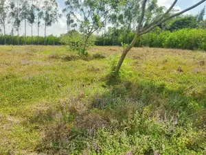 50*100 Plots for Sale in Kitengela Acacia Area for Ksh.1.45M