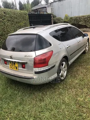 Peugeot 407 SW 2.0 2005 Silver
