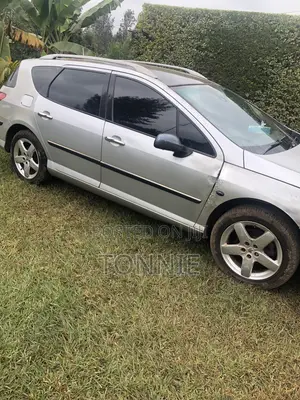 Peugeot 407 SW 2.0 2005 Silver