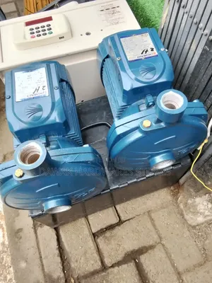 2hp Pedrollo Water Pump