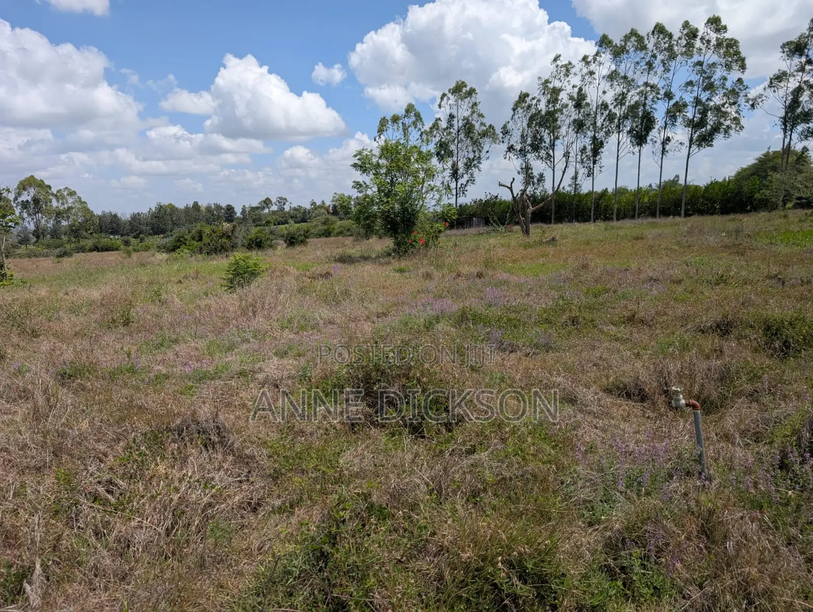 50*100 Plots for Sale in Syokimau, Katani.