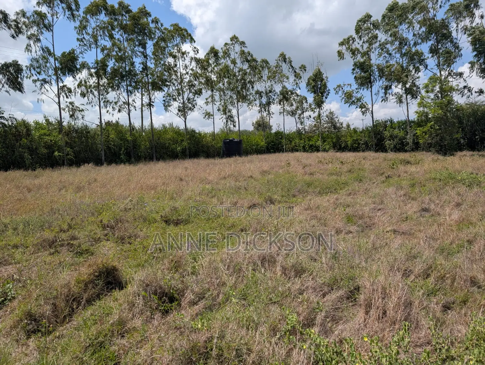 50*100 Plots for Sale in Syokimau, Katani.