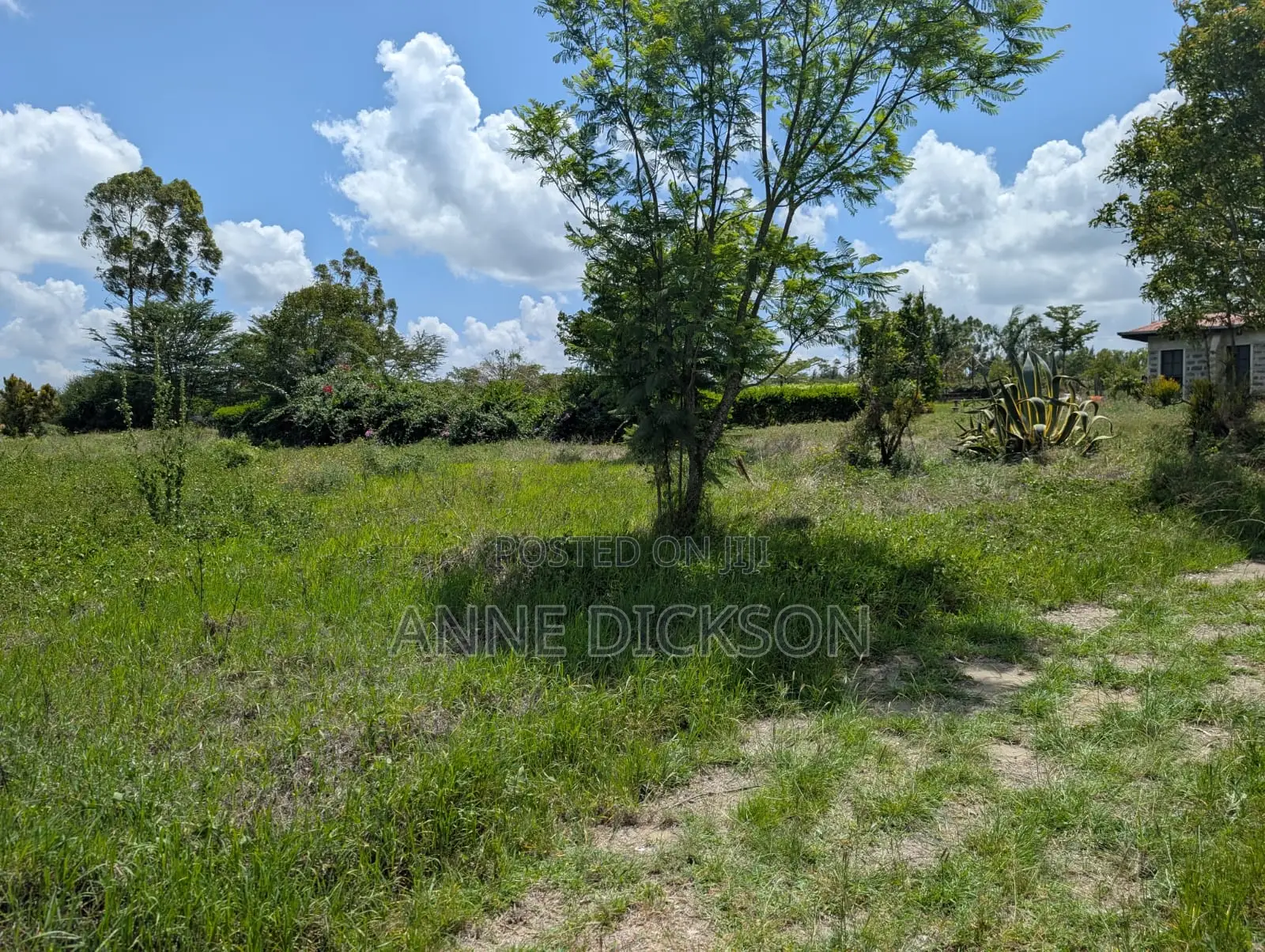 50*100 Plots for Sale in Syokimau, Katani.