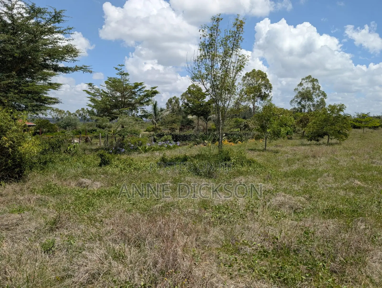 50*100 Plots for Sale in Syokimau, Katani.