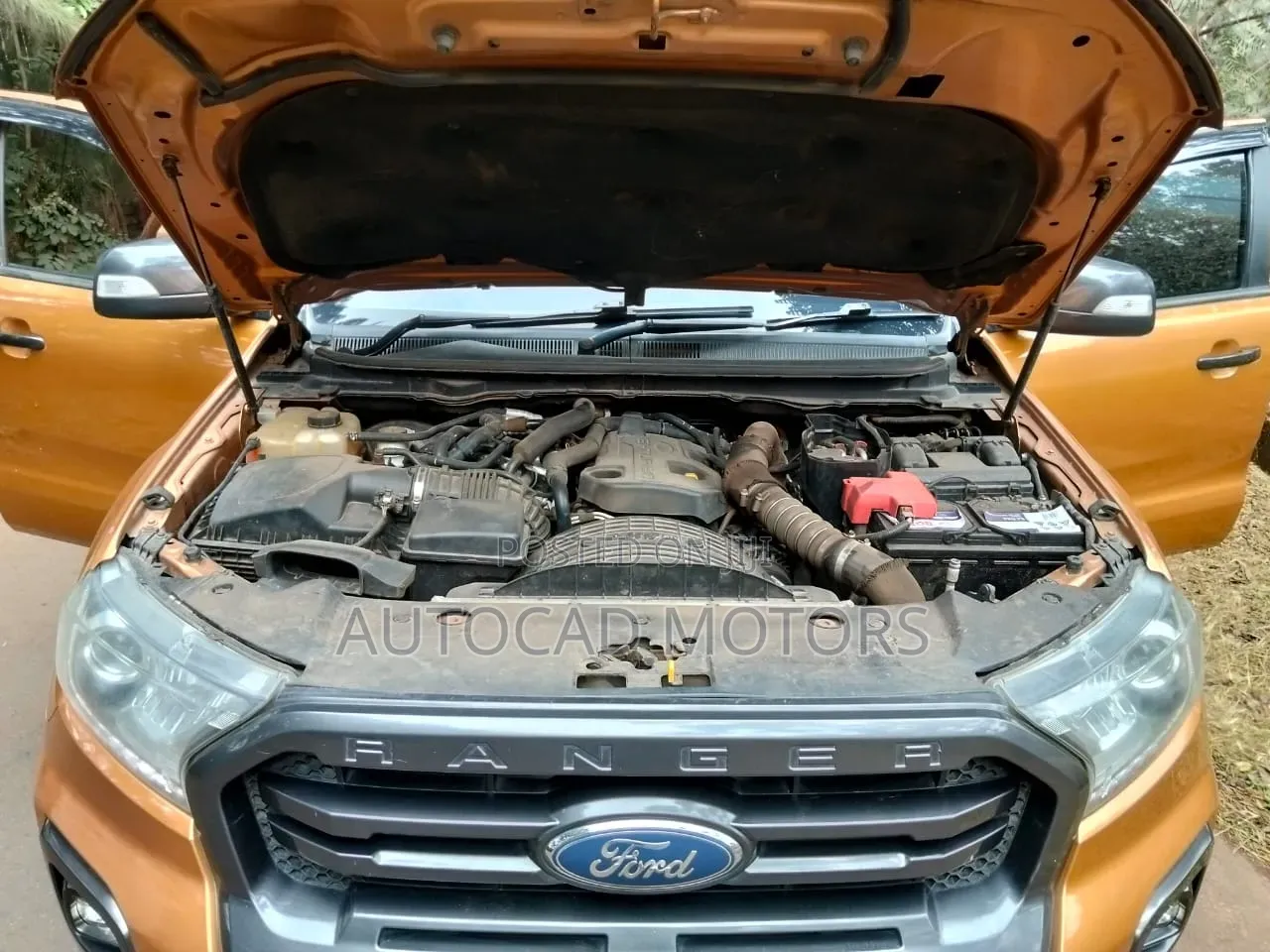 Ford Ranger Wildtrak 2018 Orange