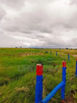 Isinya 50*100 Plots Available
