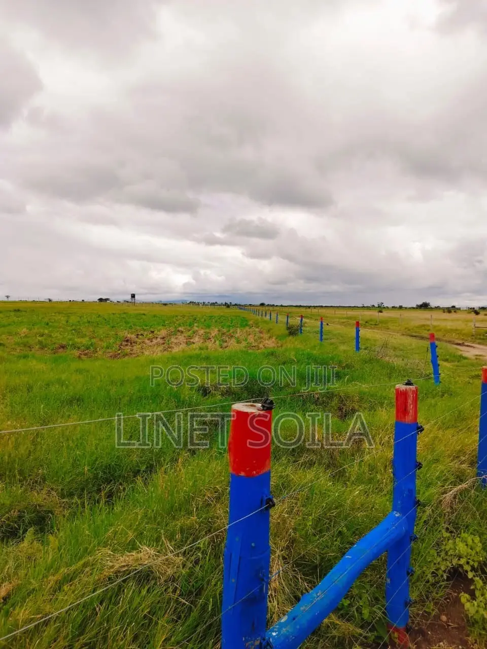 Isinya 50*100 Plots Available