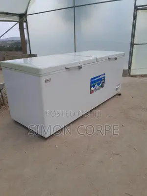 Deep Freezer 700 Litre