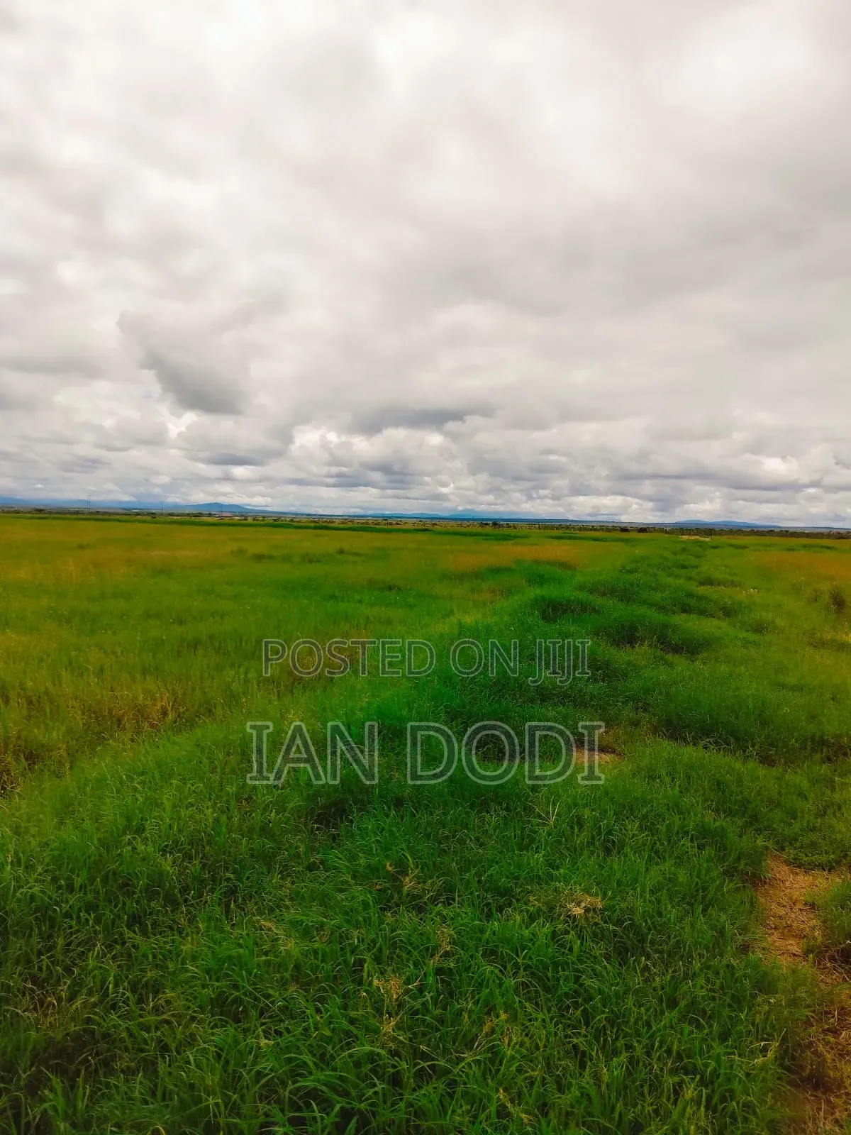 Land for Sale