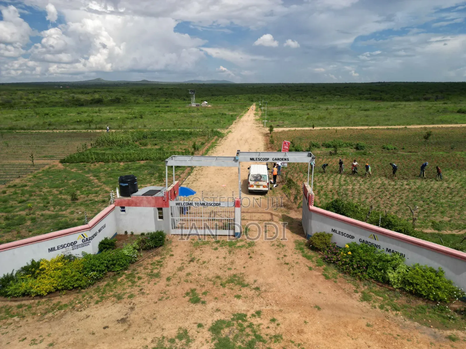 Land for Sale
