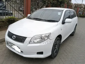 Toyota Corolla Fielder 2009 White