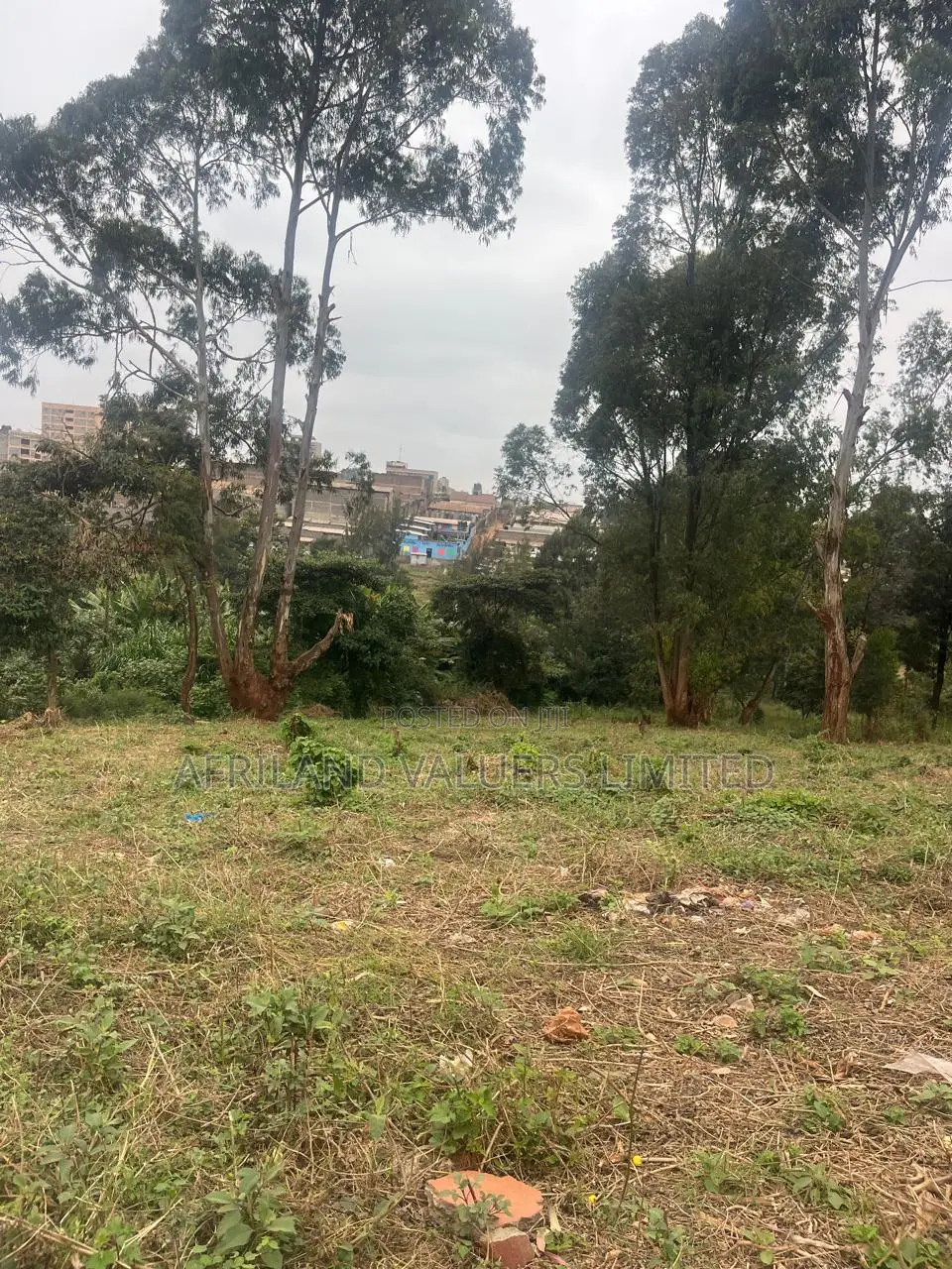 Land for Sale