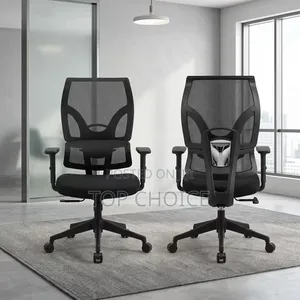 New Ergonomic Office Chair.