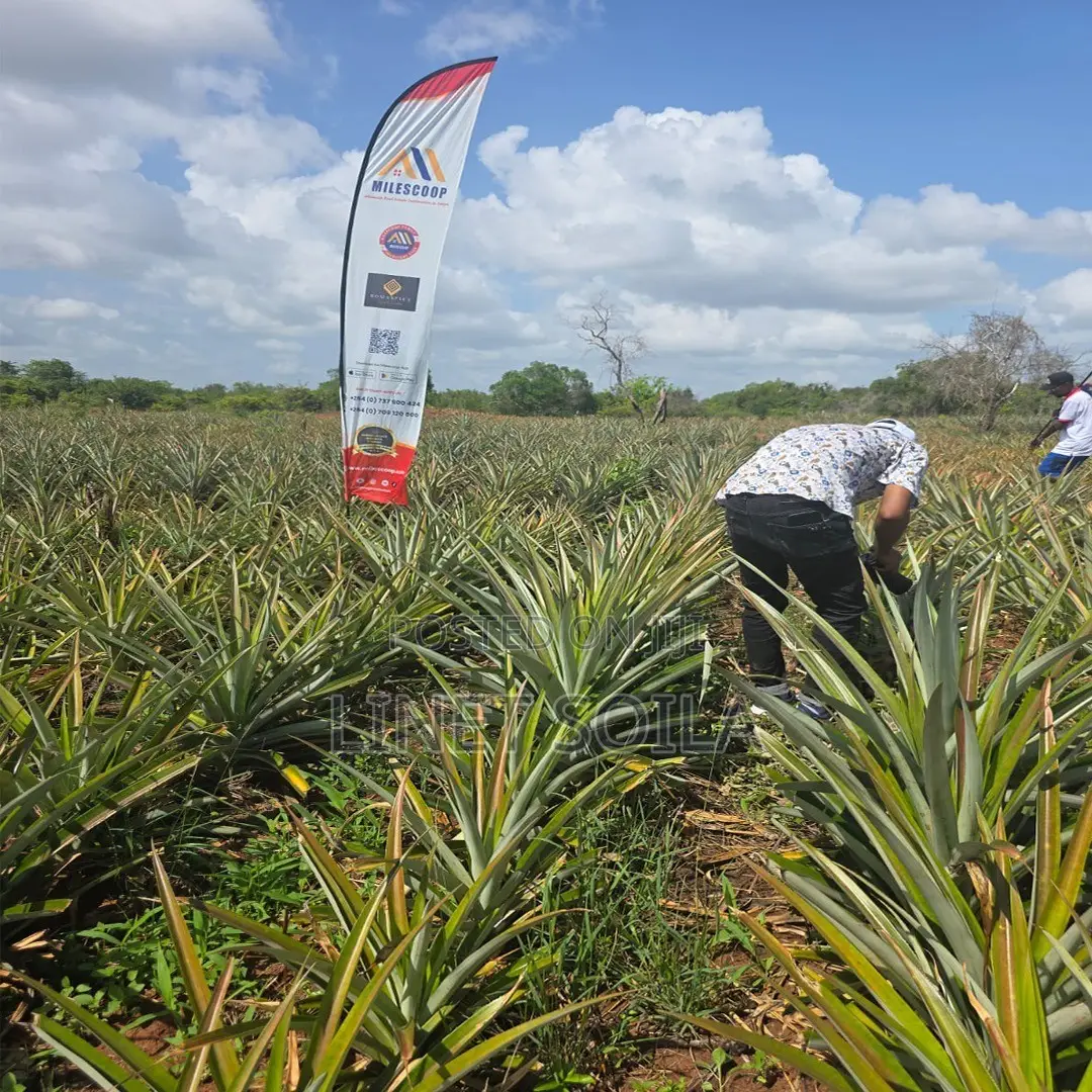 Plot for Sale Malindi