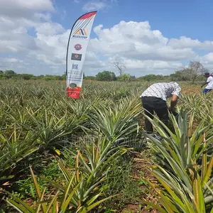 Plot for Sale Malindi