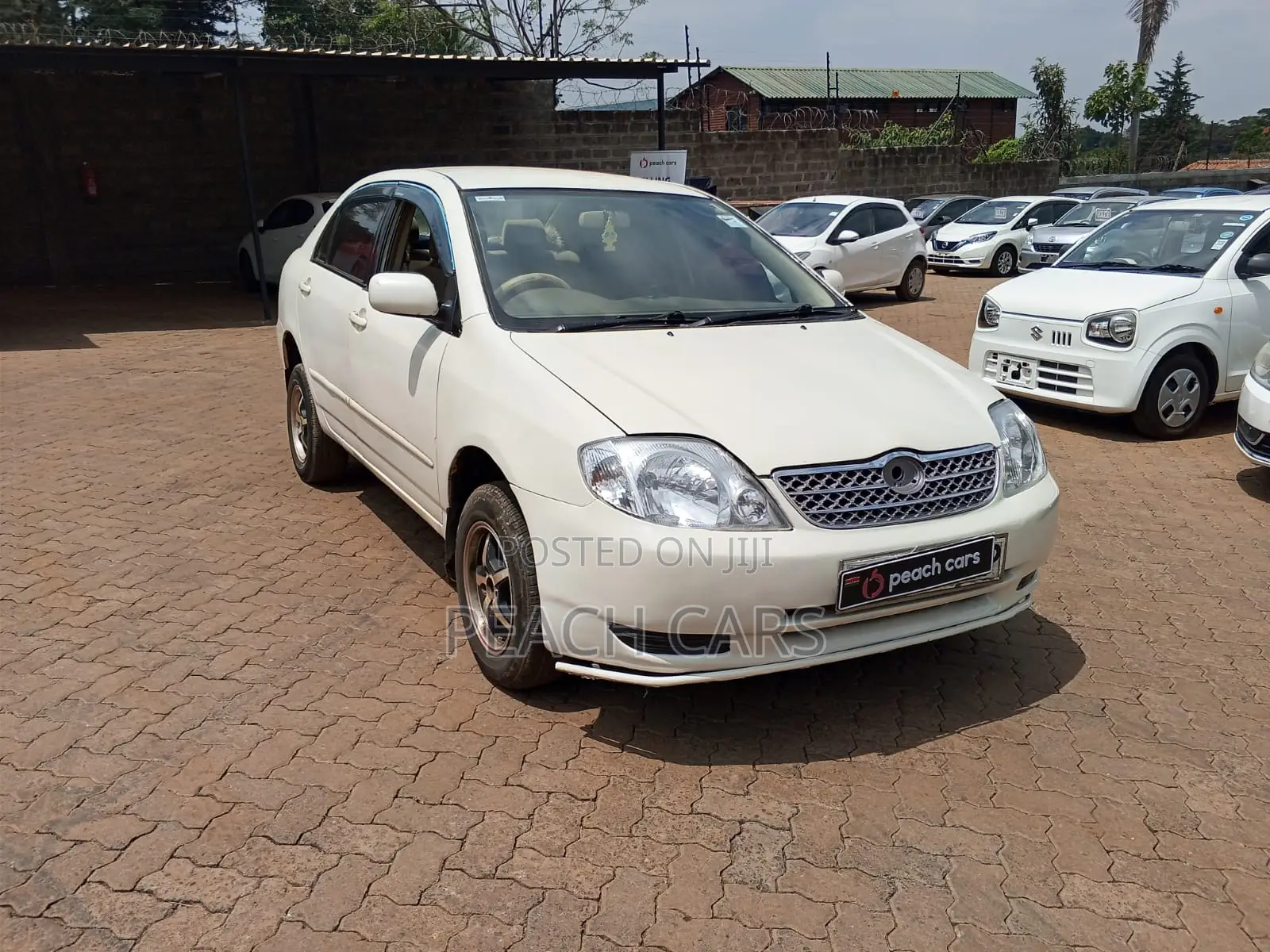 Toyota Corolla 2002 White