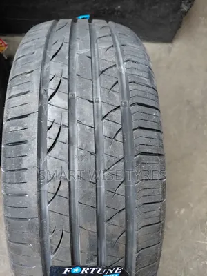 225/55zr 17 Fortune