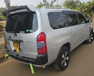 Toyota Probox 2017 Silver