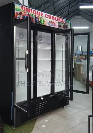 Affordable Spacious Double Door Showcase