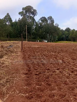 Chungamali Plots