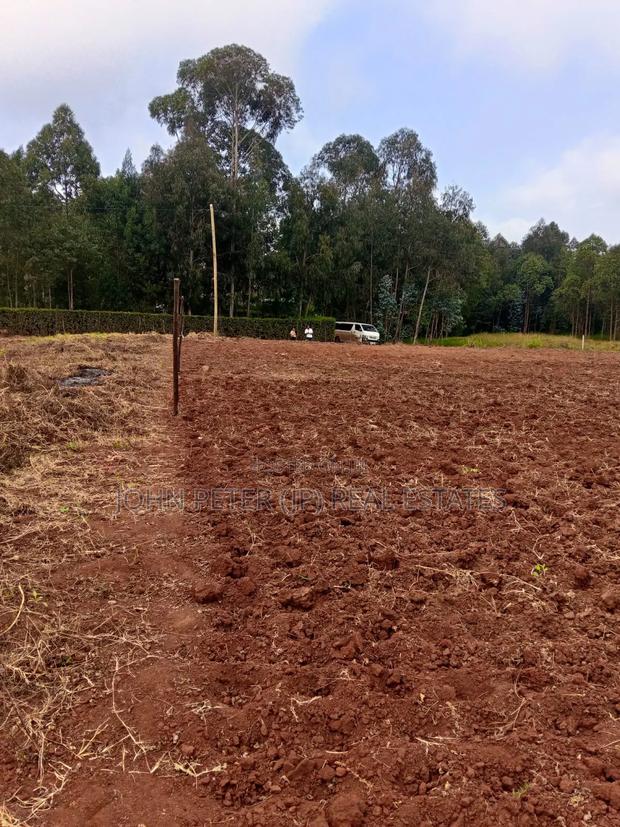 Chungamali Plots