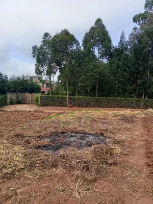 Chungamali Plots