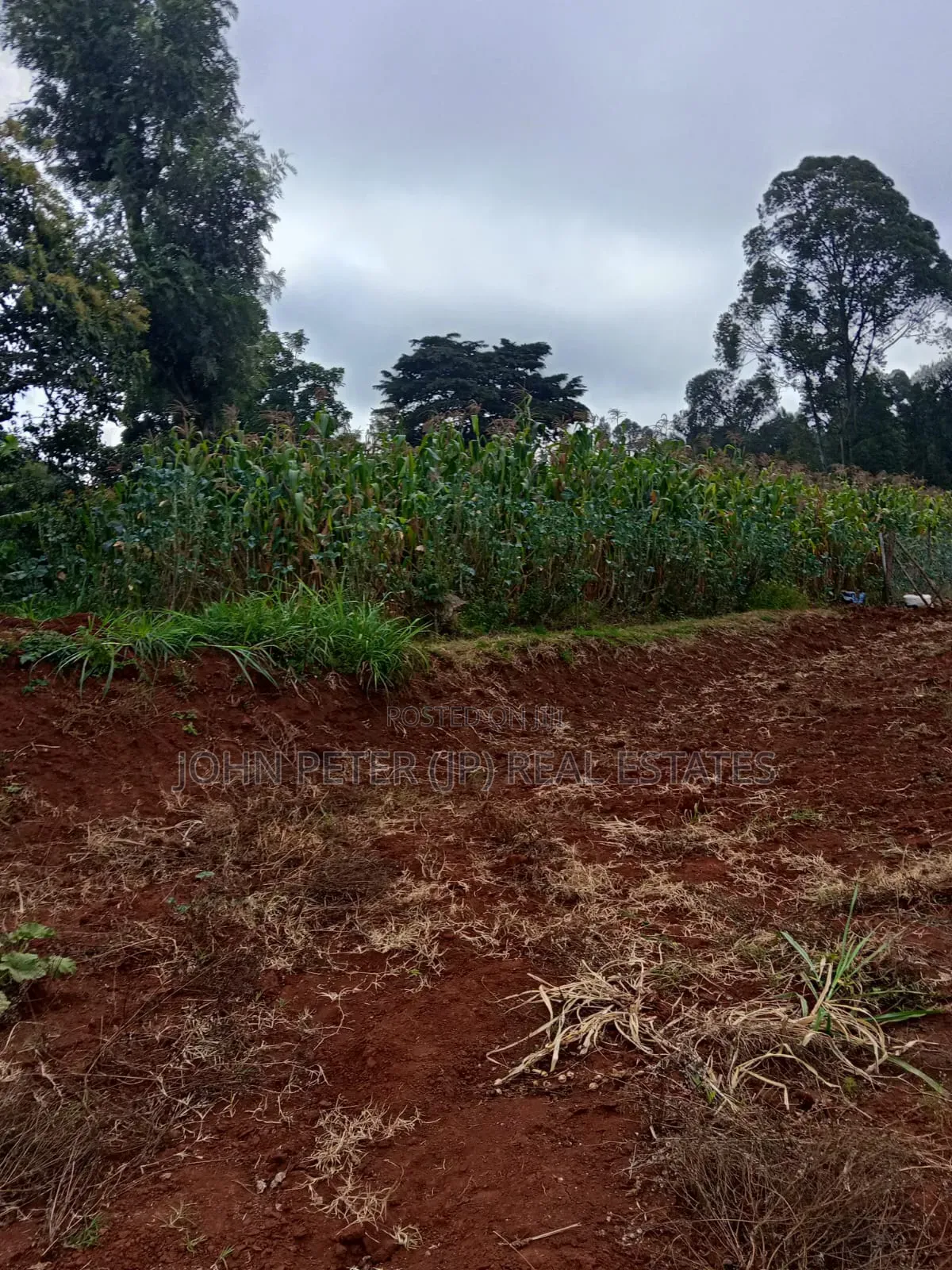 Land Deals 