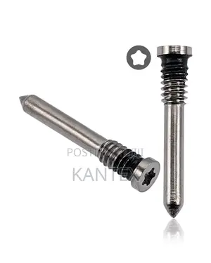Generic iPhone X to iPhone 17PM Pantalobe Bottom Screws