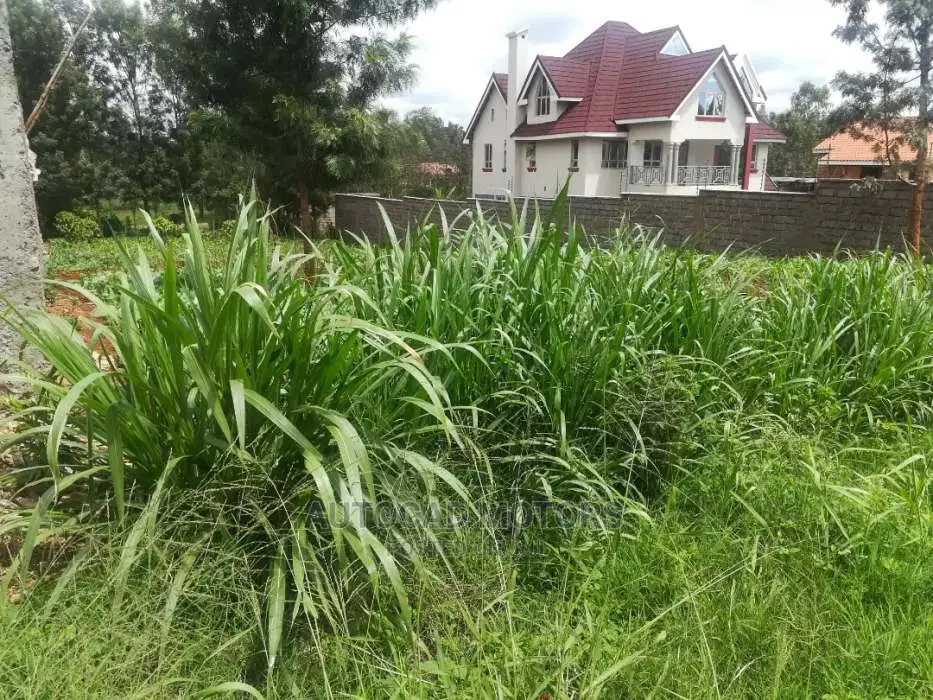 1/2 Acre Plot in Mugumo Kiambu