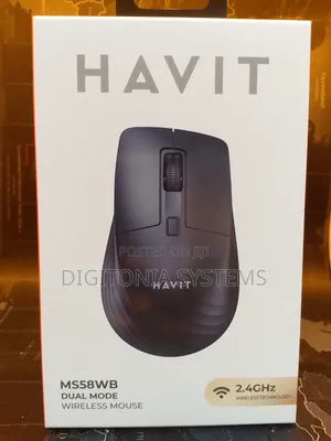 Havit Ms58wb Dual Mode Wireless Mouse