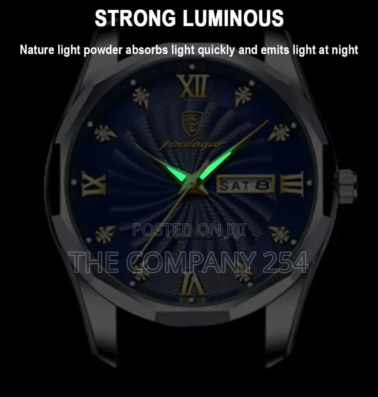 POEDAGAR GENTS WDay Date Display Water Stainless Steel Luminous Arms